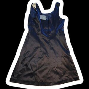 Womens Navy Dress